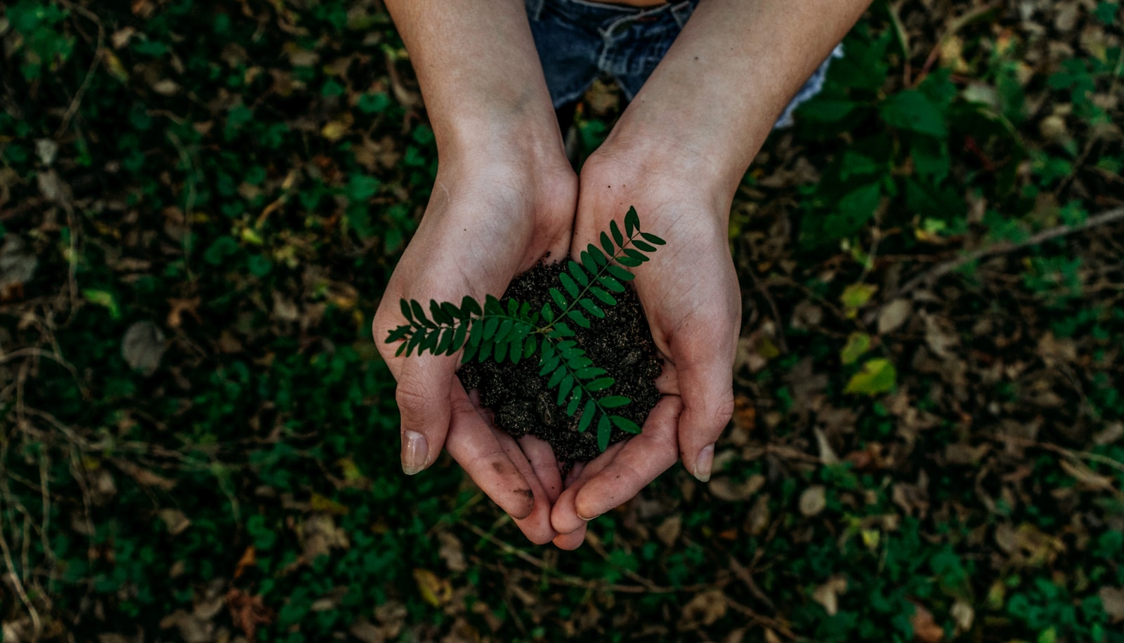 How Young Entrepreneurs Can Leverage Sustainability Trends in the Steel Industry
