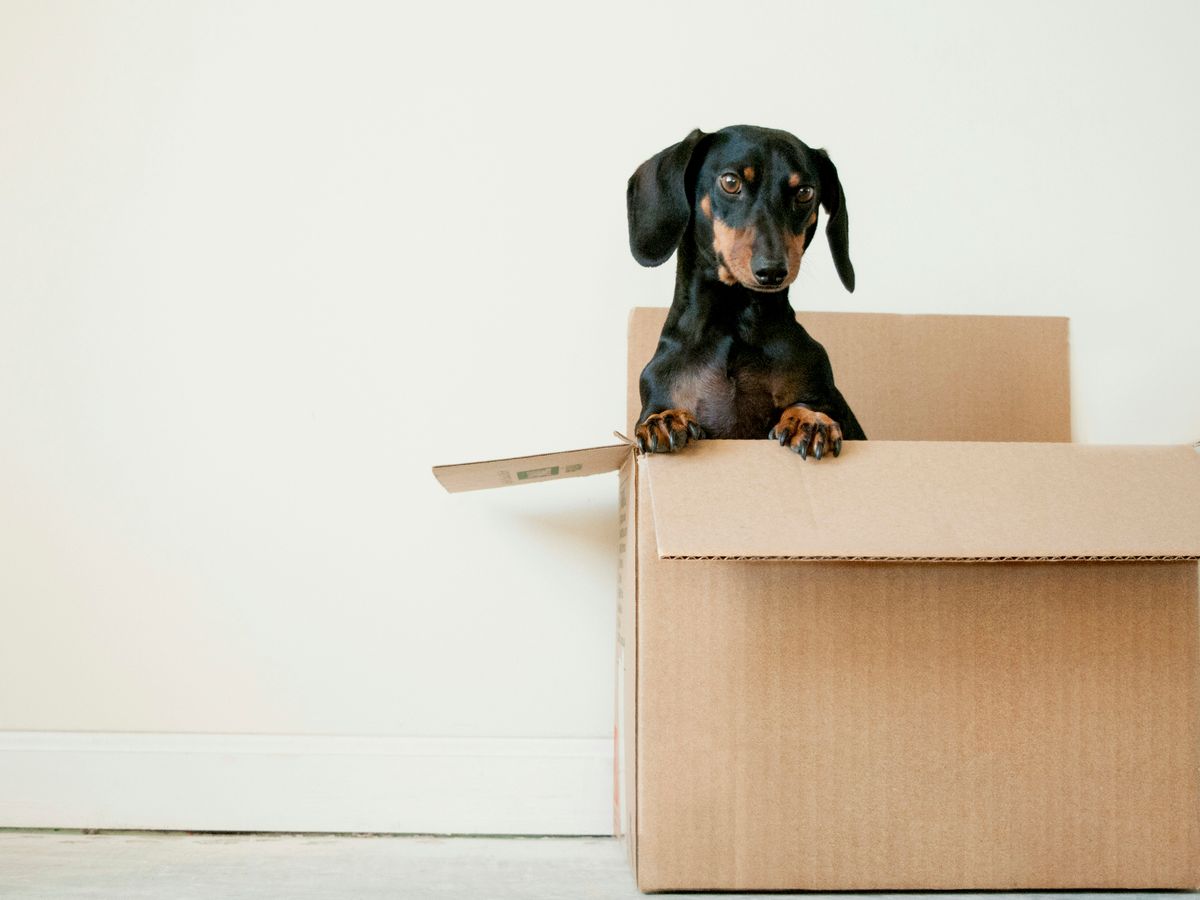P.O. Box Prices: What You'll Really Pay in 2024