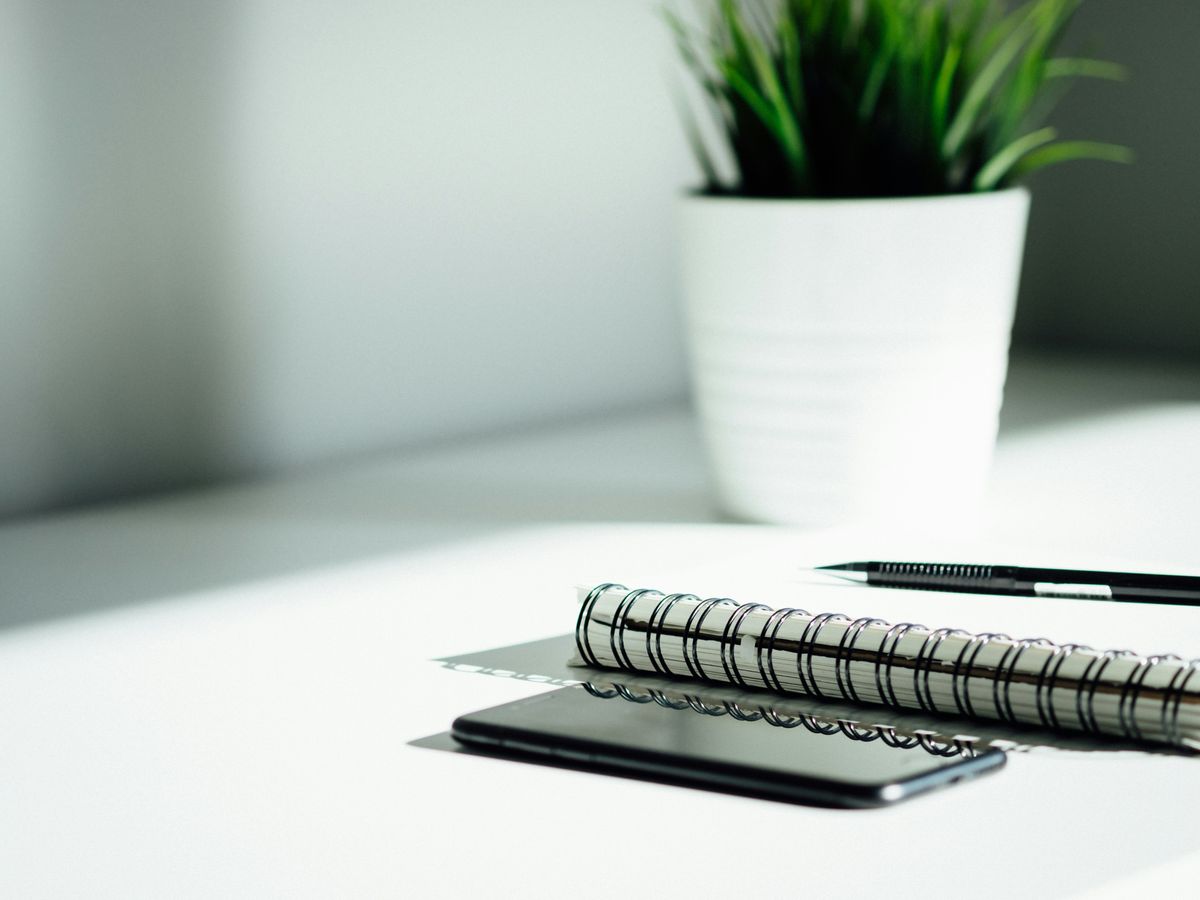 Green Business Ideas That Actually Make Money