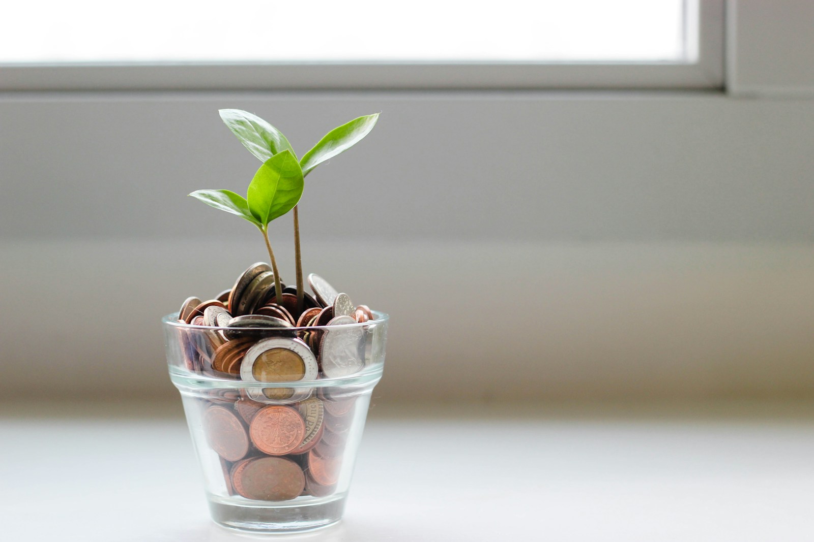 How to Master Startup Financial Planning
