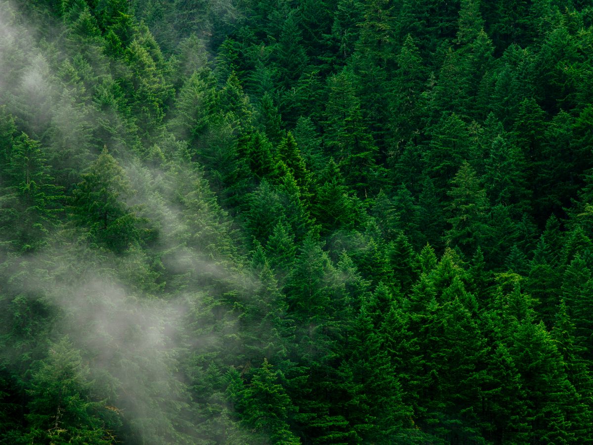 Evergreen Content: Write It Once, Profit Forever