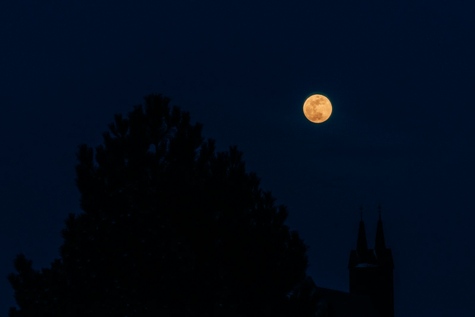 Lunar Cycles in Business: Alternative Timing for Better Decision-Making
