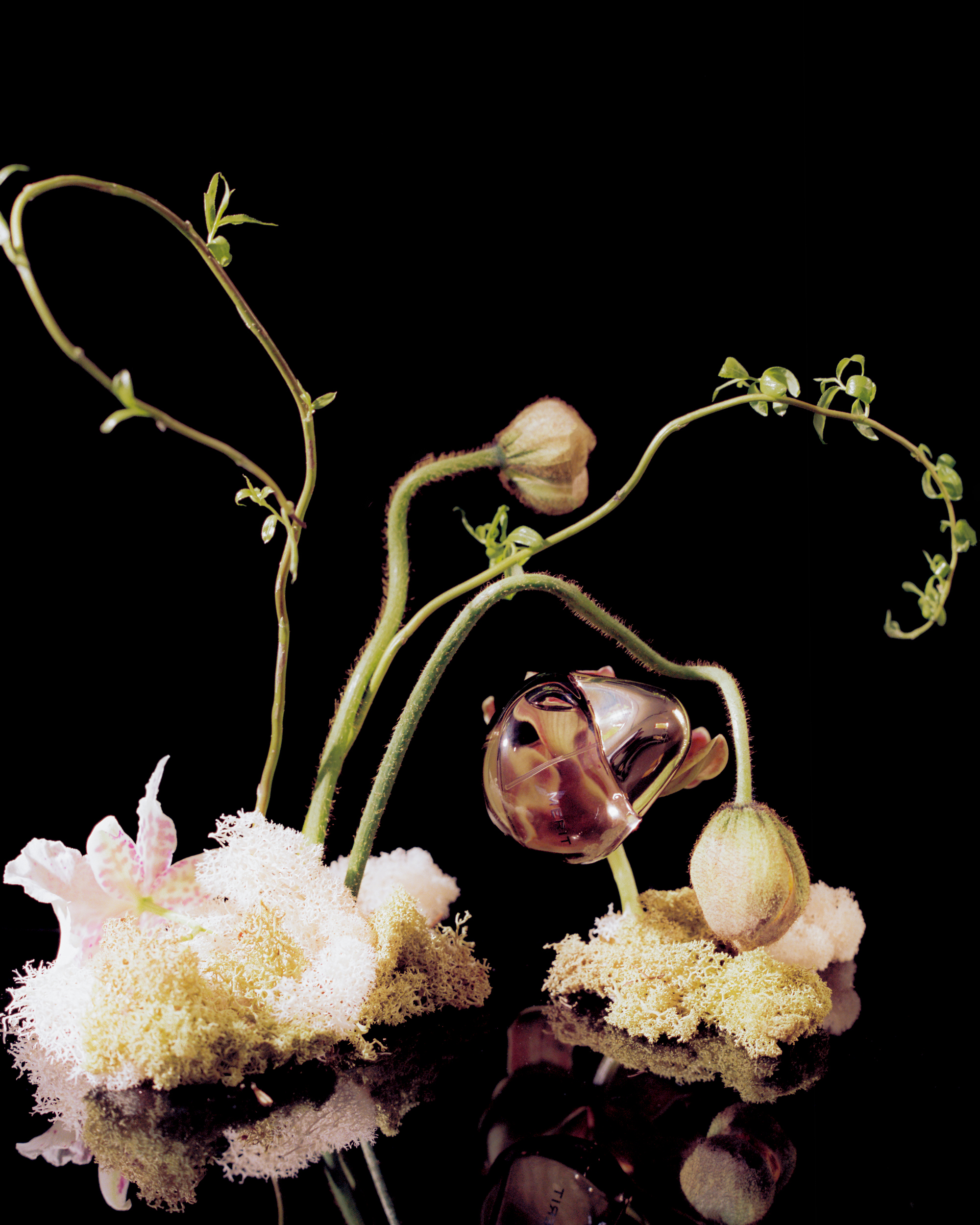 Merit's fragrance Retrospect.