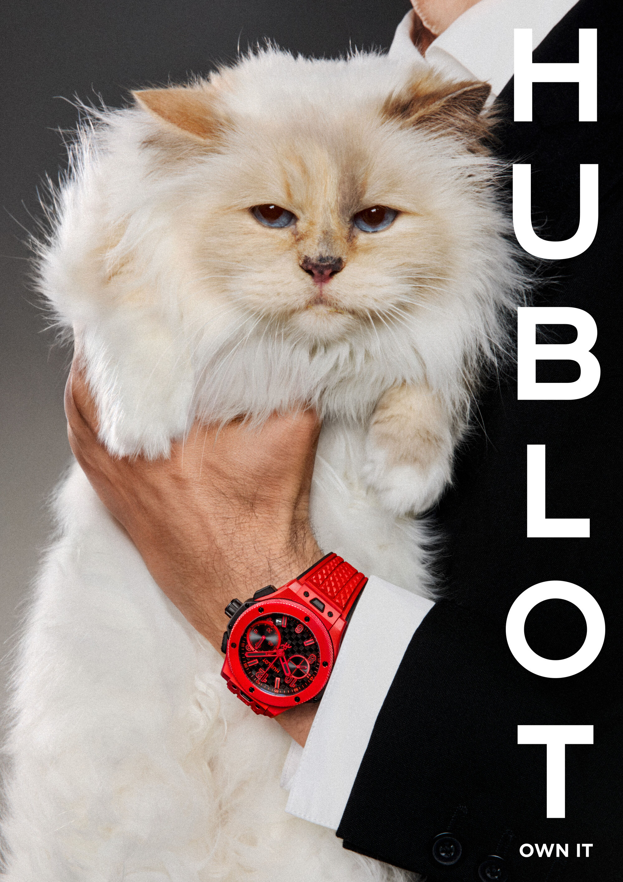 Choupette stars in Hublot's new "Own It" campaign.
