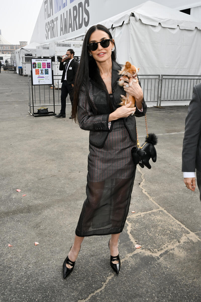 Demi Moore wears thom browne sheer dress at 2025 Film Independent Spirit Awards - Arrivals on February 22, 2025 in Santa Monica, California, dog bag, pilaf