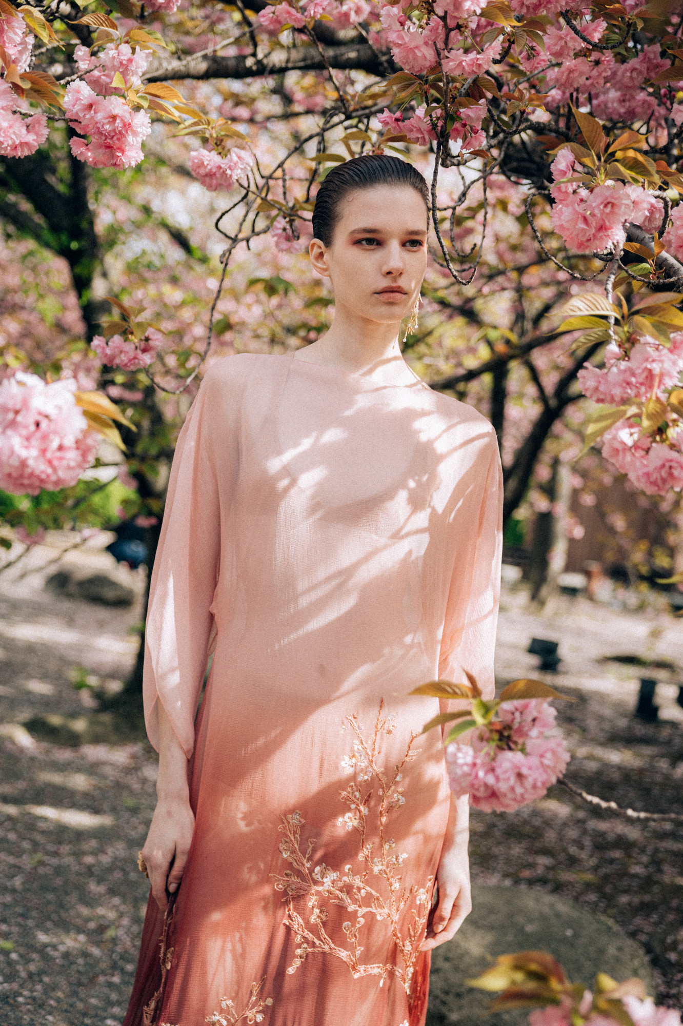 A look from Dior women's pre-fall 2025 collection.